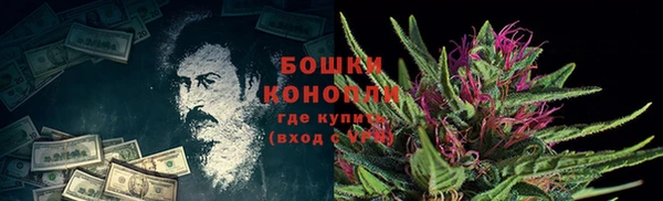 гидропоника Магас